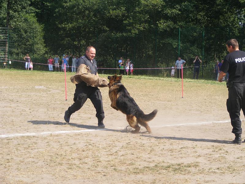 01.07.12r. FESTYN 130
